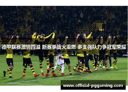德甲联赛激情四溢 新赛季战火重燃 多支强队力争冠军荣耀 德甲联赛激情四溢 新赛季战火重燃 多支强队力争冠军荣耀