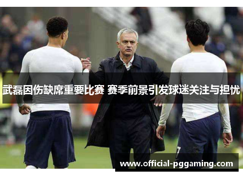 武磊因伤缺席重要比赛 赛季前景引发球迷关注与担忧 武磊因伤缺席重要比赛 赛季前景引发球迷关注与担忧