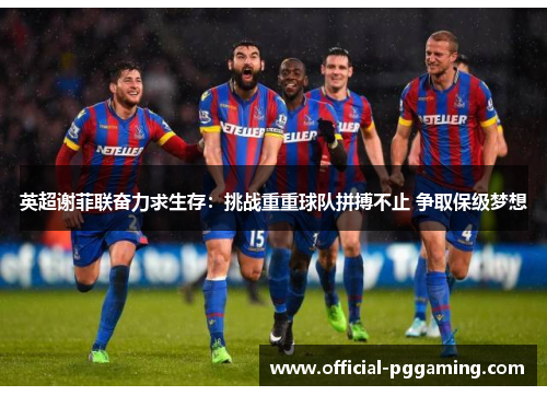 英超谢菲联奋力求生存：挑战重重球队拼搏不止 争取保级梦想