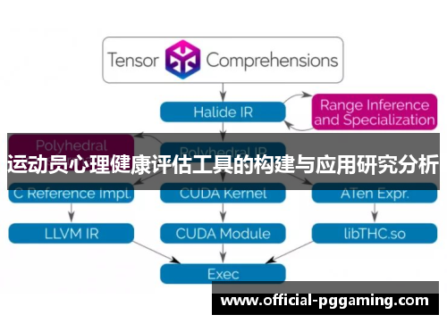 运动员心理健康评估工具的构建与应用研究分析