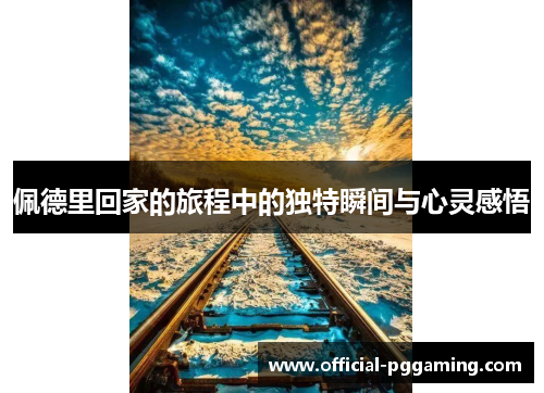 佩德里回家的旅程中的独特瞬间与心灵感悟 佩德里回家的旅程中的独特瞬间与心灵感悟