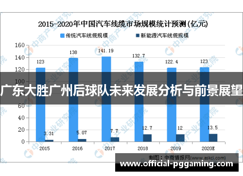 广东大胜广州后球队未来发展分析与前景展望