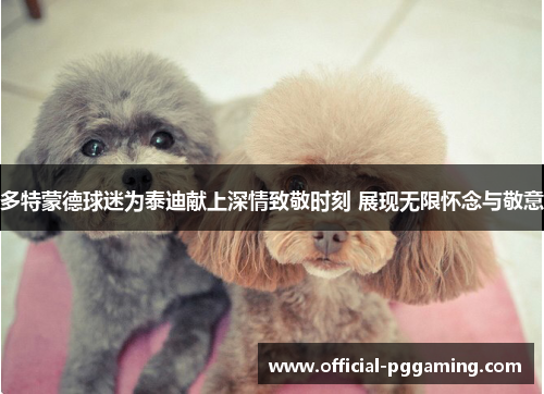 多特蒙德球迷为泰迪献上深情致敬时刻 展现无限怀念与敬意 多特蒙德球迷为泰迪献上深情致敬时刻 展现无限怀念与敬意