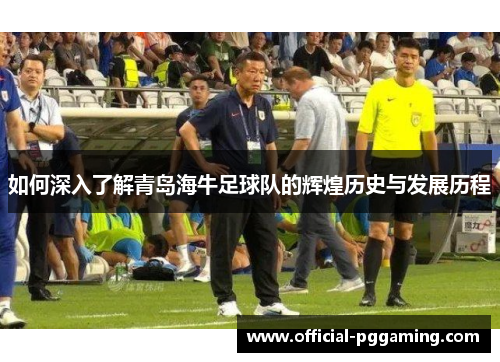 如何深入了解青岛海牛足球队的辉煌历史与发展历程