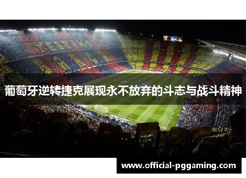 葡萄牙逆转捷克展现永不放弃的斗志与战斗精神 葡萄牙逆转捷克展现永不放弃的斗志与战斗精神
