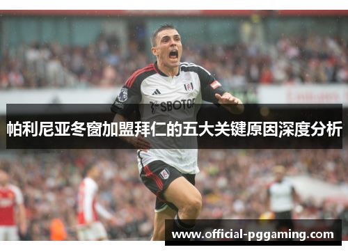 帕利尼亚冬窗加盟拜仁的五大关键原因深度分析