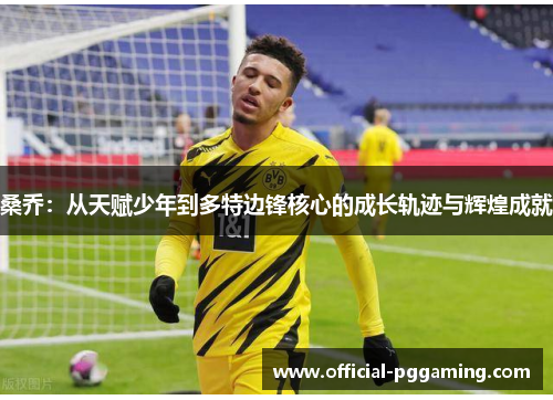 桑乔：从天赋少年到多特边锋核心的成长轨迹与辉煌成就